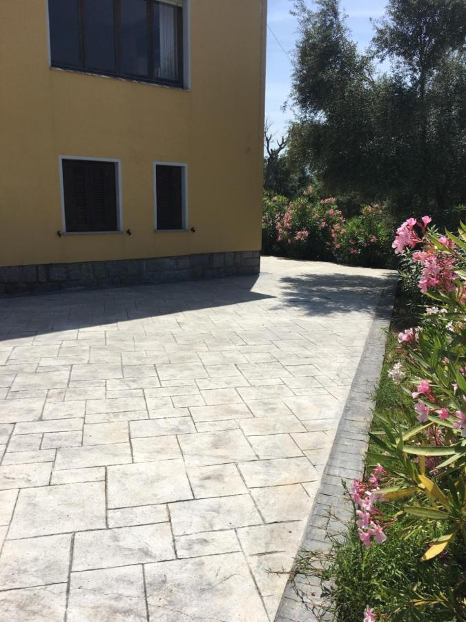 B&B Tavolara Puntaldia Eksteriør billede