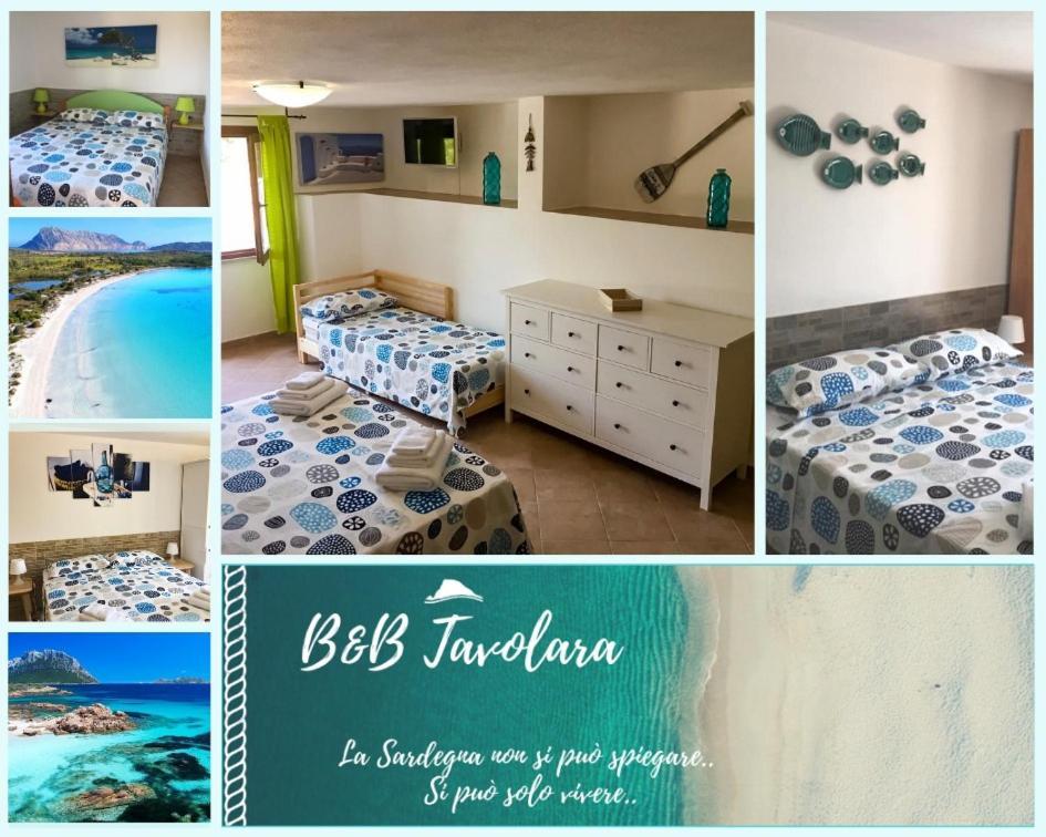 B&B Tavolara Puntaldia Eksteriør billede