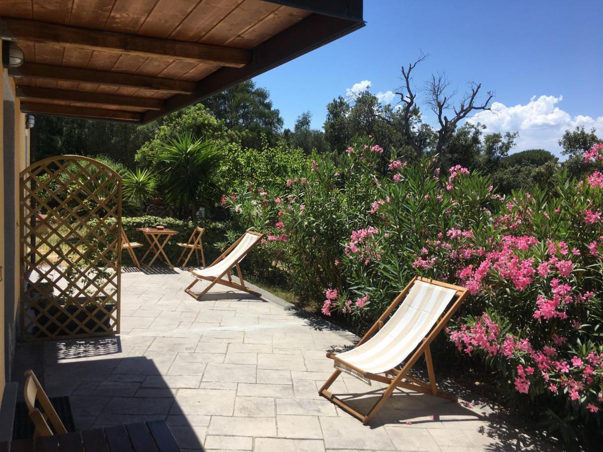 B&B Tavolara Puntaldia Eksteriør billede